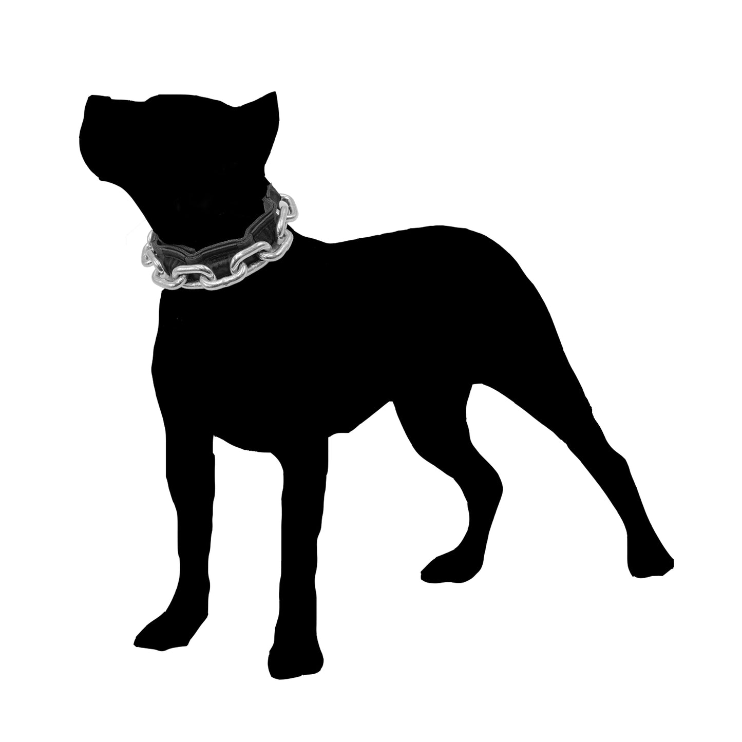 Heavy Chain Collar